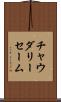 Choudary Saim Scroll