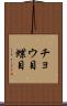 チョウ目 Scroll
