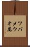 ツバメウオ属 Scroll