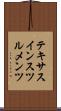 テキサス・インスツルメンツ Scroll