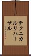 テクニカル・リハーサル Scroll