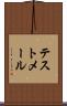 テストメール Scroll