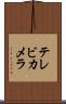 テレビ・カメラ Scroll