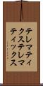 テレマティクス Scroll