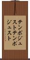 テンポジュスト Scroll