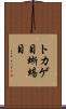 トカゲ目 Scroll
