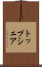 トップシェア Scroll