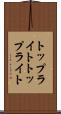 トップライト Scroll