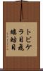 トビケラ目 Scroll