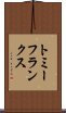トミーフランクス Scroll