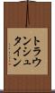 トラウンシュタイン Scroll