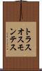 トラスオスモンテス Scroll