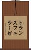 トランスフェラーゼ Scroll