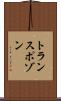 トランスポゾン Scroll
