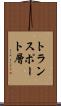 トランスポート層 Scroll