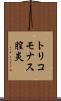 トリコモナス膣炎 Scroll