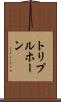 トリプルホーン Scroll