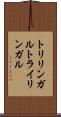 トリリンガル Scroll
