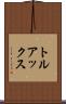 トルアックス Scroll