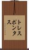 トレスポンタス Scroll
