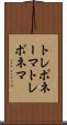 トレポネーマ Scroll