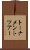 トーナメント・ツアー Scroll