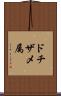 ドチザメ属 Scroll