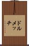 ドルメッチ Scroll
