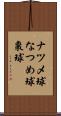 ナツメ球 Scroll