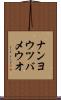 ナンヨウツバメウオ Scroll