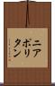 ニアポリタン Scroll