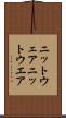 ニットウェア Scroll
