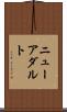 ニューアダルト Scroll