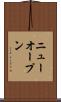 ニューオープン Scroll