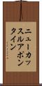 ニューカッスルアポンタイン Scroll