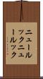 ニュールック Scroll