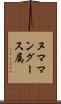 ヌママングース属 Scroll