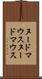 ヌードマウス Scroll