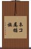 ネコ属 Scroll