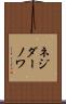 ネジダーノワ Scroll