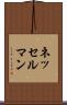 ネッセルマン Scroll