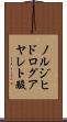 ノルジヒドログアヤレト酸 Scroll