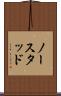 ノースタッド Scroll