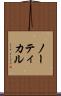 ノーティカル Scroll