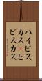 ハイビスカス(P) Scroll