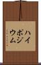 ハイポジウム Scroll