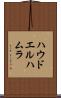 ハウドエルハムラ Scroll
