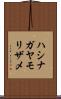ハシナガヤモリザメ Scroll