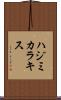 ハジミカラキス Scroll