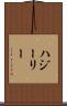 ハジーリー Scroll